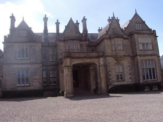 Ryebrook House Bed and Breakfast Cill Airne Exteriör bild