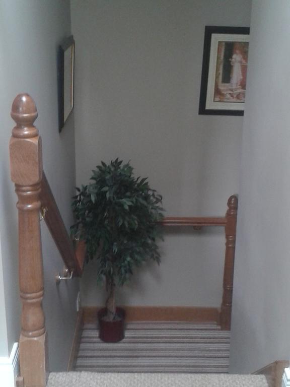 Ryebrook House Bed and Breakfast Cill Airne Exteriör bild